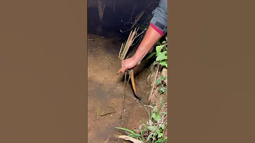 Top Viral Amazing Fishing Eel Fishing From Hole Using Hook TIK TOK 