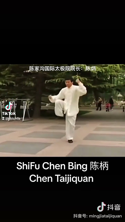 Chen Bing Taiji Academy Chile 