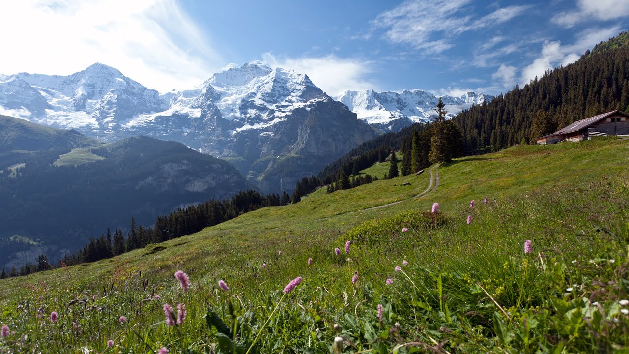 Горы Швейцарии. Солнце март горы Швейцария. Jungfrau Switzerland. Обои лето Европа Швейцария на рабочий стол. Well region