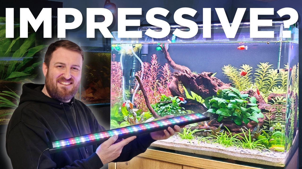 Don't Buy Expensive Lights Until You See This | Seaoura SR-659