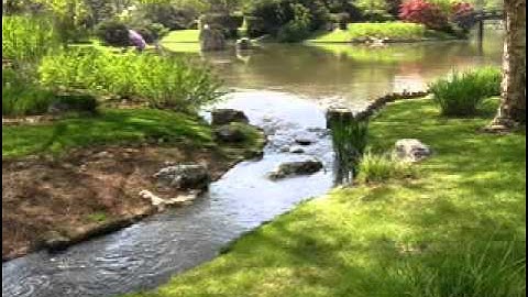 روائع التلاوات حمزة المجالي طه الاية 99