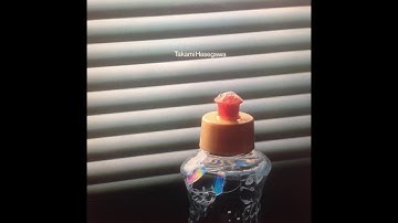 Takami Hasegawa - Toh No Ue No Tsukihime