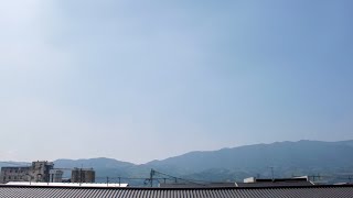 杉工場 - sugikoujou