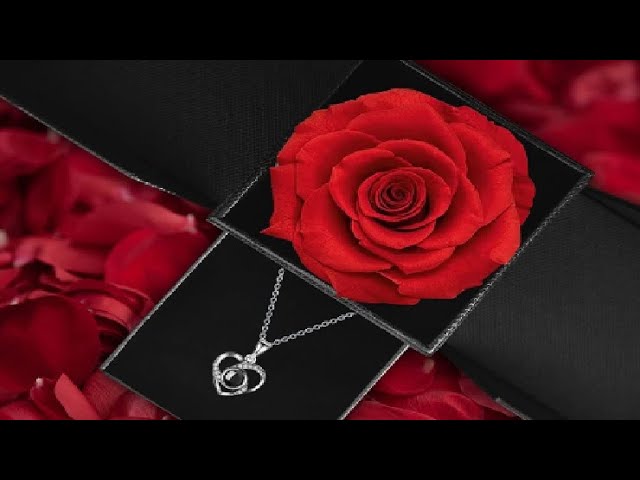 Mother's Day Eternal Real Rose Gift Box,Forever Love Flower 100 Languages  Silver L LOVE YOU Mystery Stone, for Your Wife,Mom.Girlfriend,Valentines