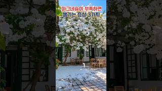 마그네슘이 부족하면 생기는 증상 3가지 #하늘미소학천별 #마그네슙부족