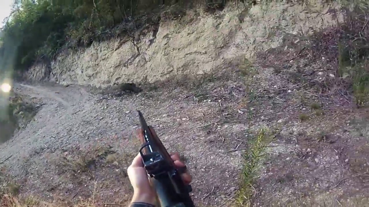 Lance de Jabalí en Batida. Fallo / Vídeos de Caza YouTube Lance de Jabalí en Batida. Fallo / Vídeos de Caza YouTube