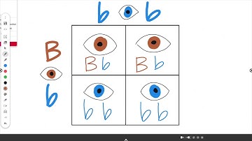User Profiles - Cloud Connect on the ActivPanel Elements Series