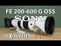 Sony 200600mm bird photography with a6700 camera body