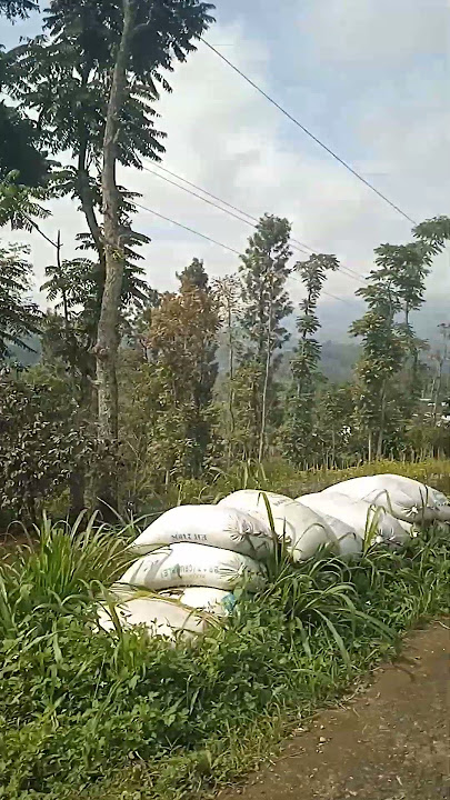 Lapor ketua pojok kendal monitor