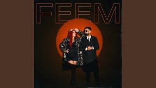FEEM