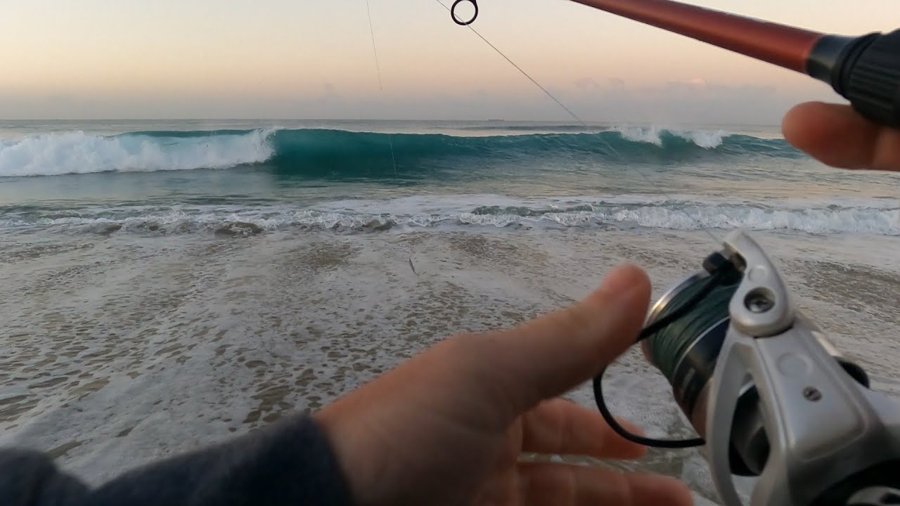 SURF FISHING in OC keeps getting BETTER and BETTER!