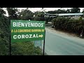 DARY PUÑOYLETRA COROCO Official Music Video DARY PUÑOYLETRA COROCO Official Music Video