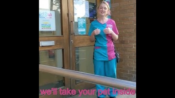 PDSA Vet gives advice for pet owners visiting a Pet Hospital during the Coronavirus crisis