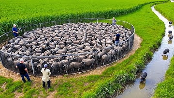 That Was Really Filmed On Camera