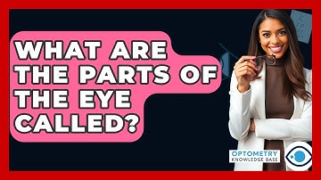What Are The Parts Of The Eye Called? - Optometry Knowledge Base