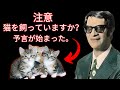 チコ・シャビエルが予言した「家に猫を飼っている人たちへ」すでに始まっており、皆が衝撃を受けている｜予言