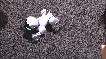 CES 2016 - CHiP K9 Robot Dog Pet - Demo - Sands Expo Tech West, Las Vegas NV