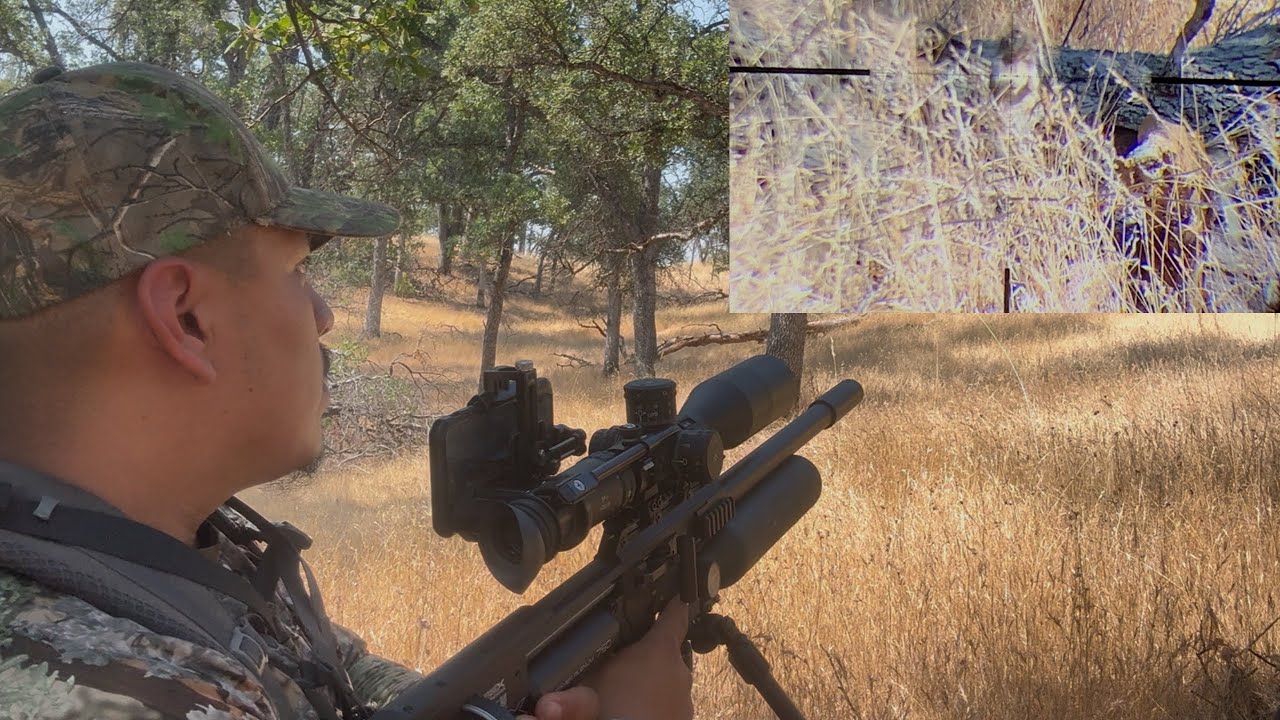 Охота на калифорнийских сусликов с использованием винтовки M4 FX Impact калибра .30.