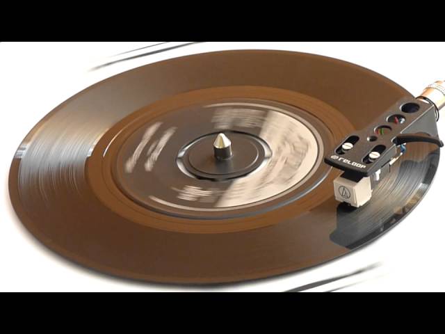 humanjukebox45s - Bobby Fuller Four - I Fought The Law - Vinyl Play
