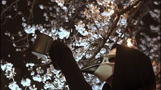 TeaPondティーポンド Sakuraの紅茶紹介動画