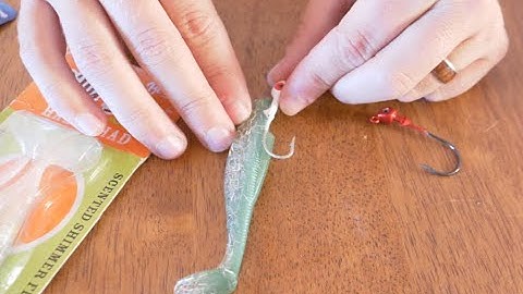 The Most EFFECTIVE Lures & Rigs to Catch GIANT Speckled Trout