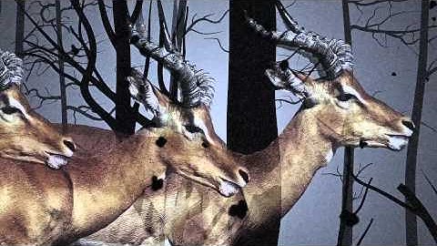 Memory Map - "The Sky As Well As Space"  (Official Album Trailer)