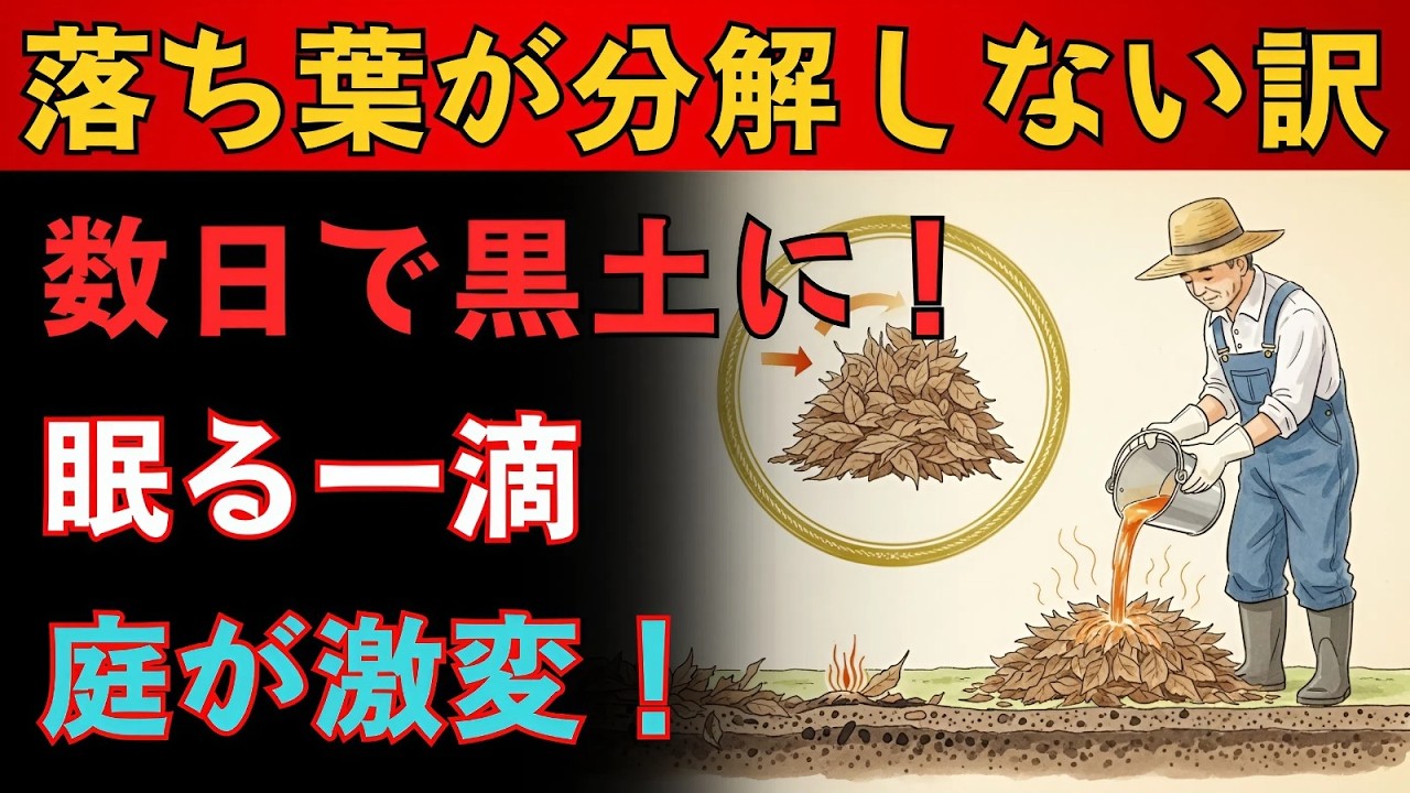 落ち葉が土にならない本当の理由。数日で黒土に変える方法とは！？