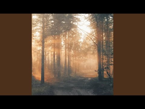 YouTube에서 Liminal 보기 YouTube에서 Liminal 보기