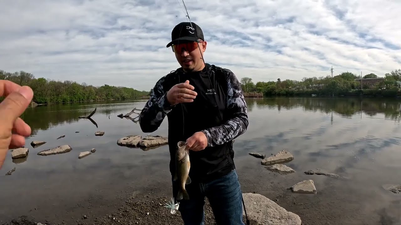 3 largemouth en Batavia dam illinois fox river 🎣 #fishing #bassfishing #chicagoriver