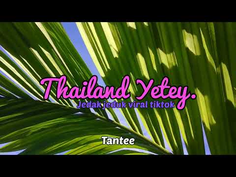 DJ TANTE SLOW REMIX JJ ANAK STM SOUND WISNUTOOD🥀 DJ VIRAL TIKTOK TERBARU 2023 YANG KALIAN CARI