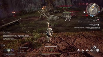 Bless Unleashed 11/19/2020 Level 33