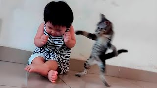 Смешное видео про кошек и собак🐱🐶- Развлечения с животными 2024 🤣