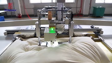 Perfect Cushion Tufting by Richpeace Automatic tufting Machine