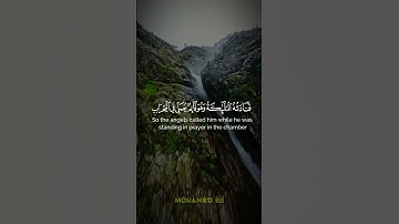 هنالك دعا زكرياء ربه _ #سورة_آل_عمران 🤲🤍