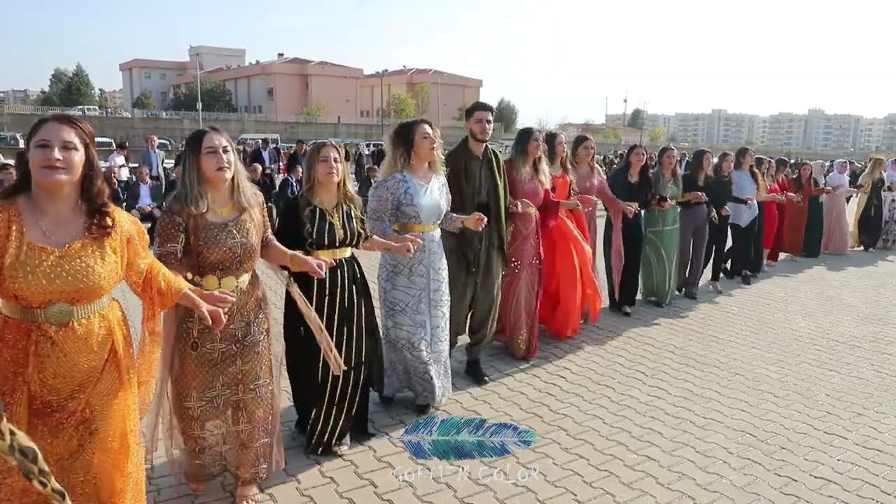 ŞİYAR BERWARİ & GAZİ YILDIRIM -  Arsu Ailesinin Görkemli Düğünü Rıdvan Arsu Part 5 Yılın Düğünü 2022