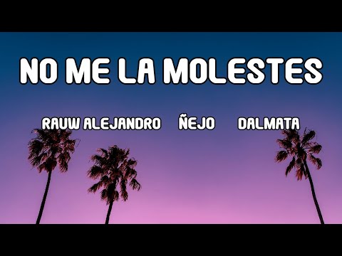 Rauw Alejandro x