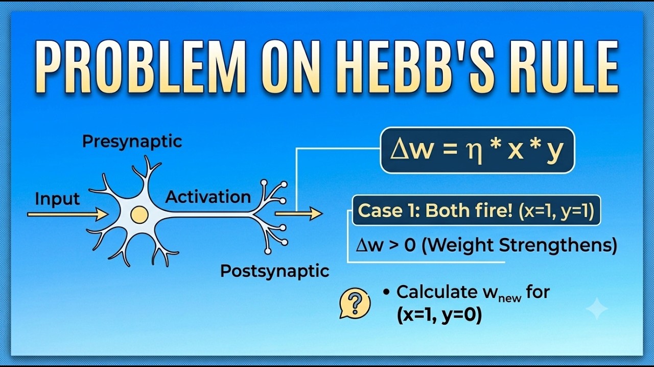 Hebb's Learning Rule in Neural Networks