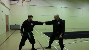 Bujinkan Ninjutsu, 5th Kyu, part 49 - godai with spikes