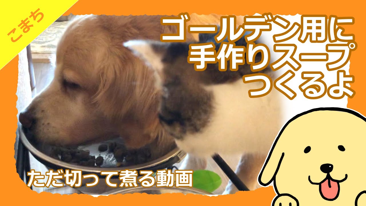 愛犬用の手作りご飯つくるぞ Youtube 愛犬用の手作りご飯つくるぞ Youtube