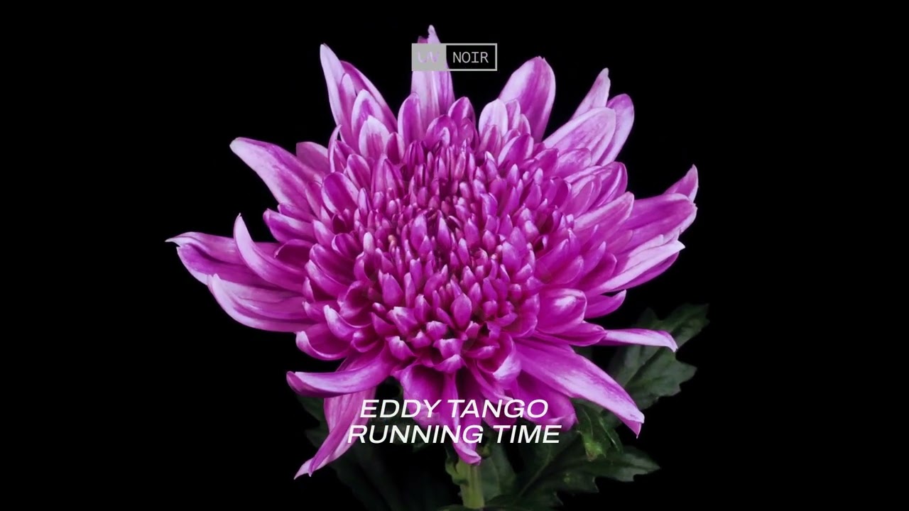 Guarda Eddy Tango - Running Time su YouTube Guarda Eddy Tango - Running Time su YouTube