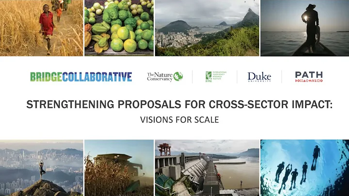 Strengthening Proposals for Cross-Sector Impact: V...