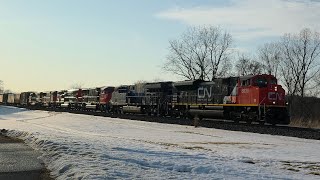 CN   M   396