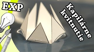 Kapilárne Kvitnutie Experiment Fyzika Pokusy Pre Deti Na Doma