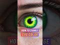 From Brown to Blue: How to Change Your Eye Color Without Risks!