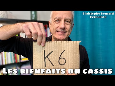 Vidéo: Pourquoi Le Cassis Est-il Utile ?