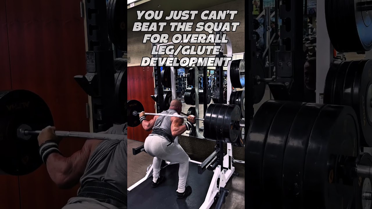 THE KING OF LEGS THE SQUAT#squat #legs #glutes #quads #workout