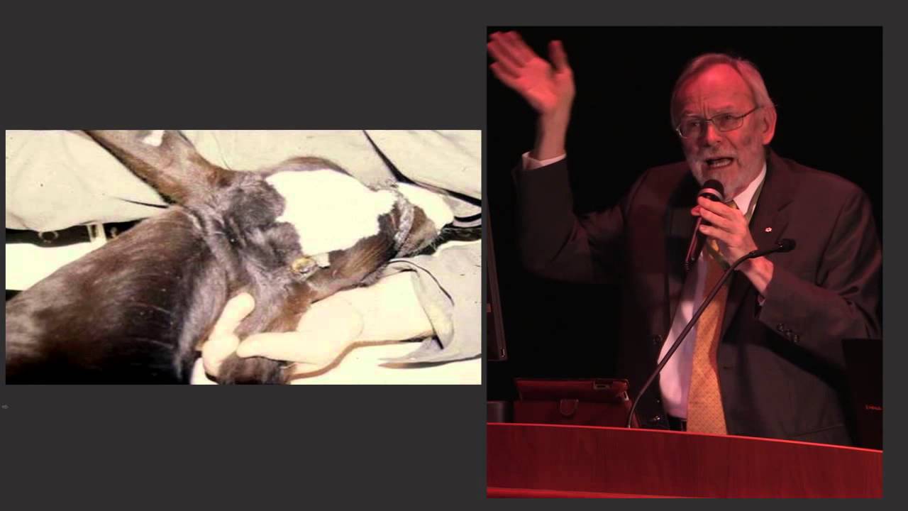scientist professional body David Fraser - Advancing Animal Welfare Science and Policy 2014