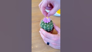 Top 5 3D Printed Kitchen Hacks