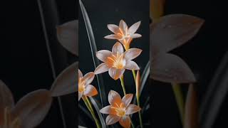 Download Lagu Adi vanmathi#songs#viral vedio#music MP3