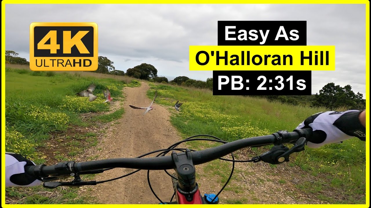 O'Halloran Hill Easy As New PB 231s YouTube